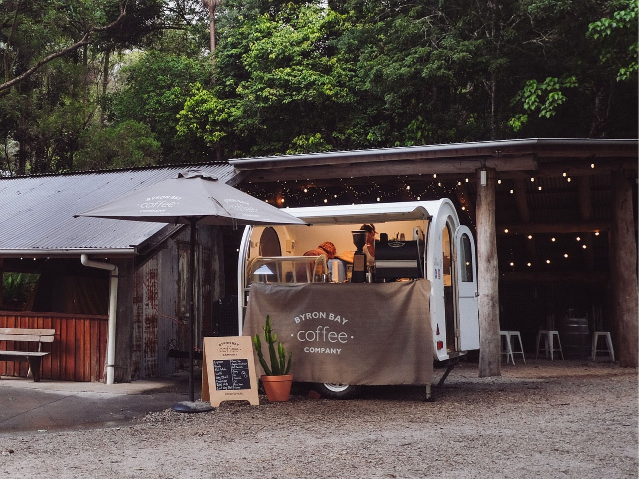 Brewing Good Times at Will And Bear Summer Camp