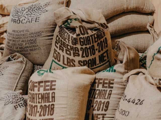 Arabica vs Robusta: What’s the Difference And Which Tastes Better?