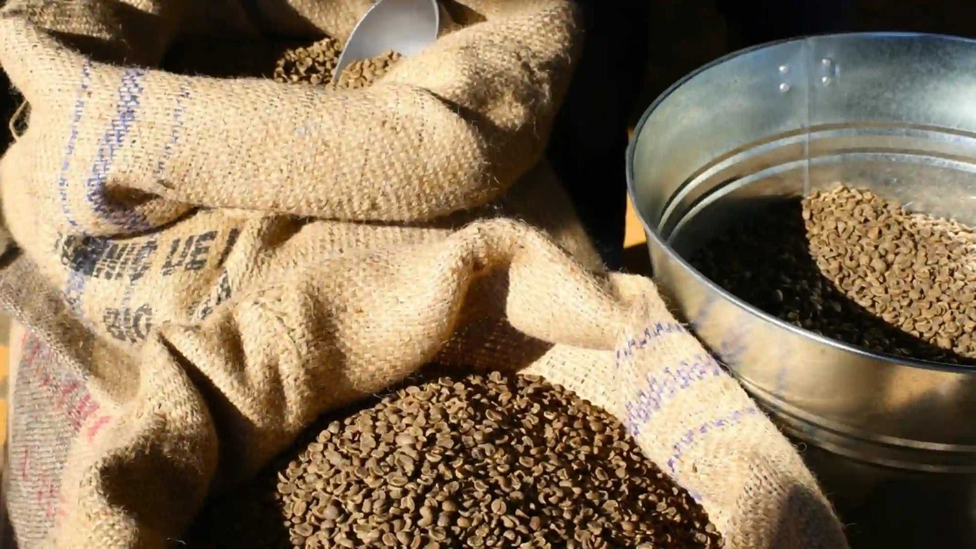 Coffee hessian sacks filled with coffee beans