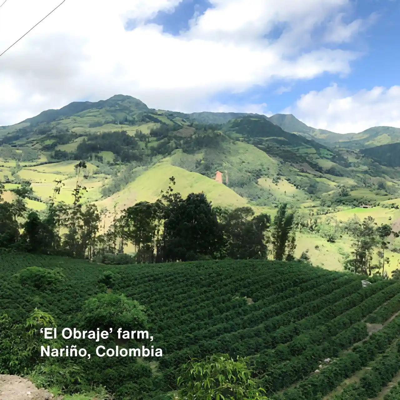 Single Origin Coffee FILTER ROAST - El Obraje, Colombia