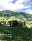 Single Origin Coffee FILTER ROAST - El Obraje, Colombia