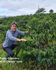 Single Origin Coffee FILTER ROAST - El Obraje, Colombia