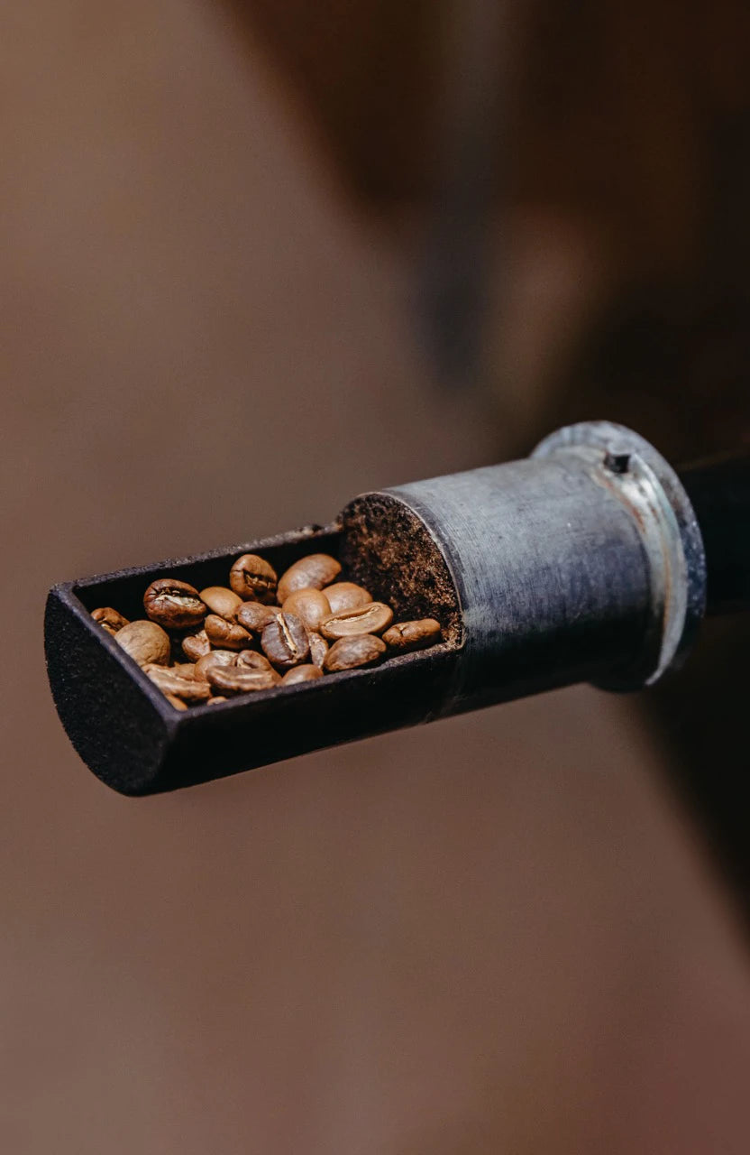 Close up of roasted coffee beans